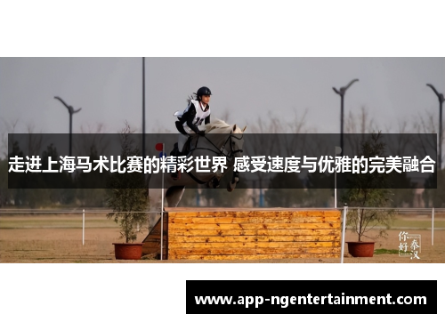 走进上海马术比赛的精彩世界 感受速度与优雅的完美融合