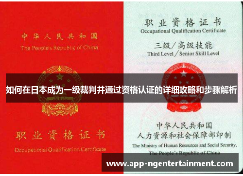 如何在日本成为一级裁判并通过资格认证的详细攻略和步骤解析