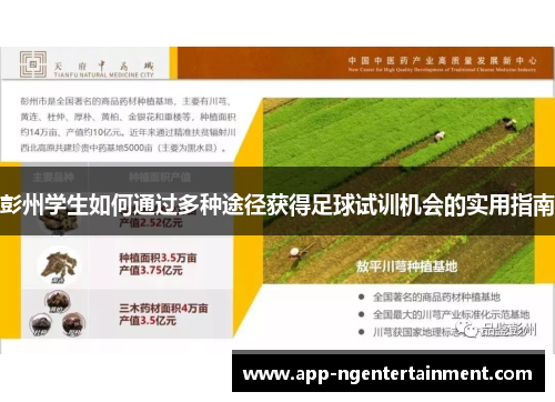 彭州学生如何通过多种途径获得足球试训机会的实用指南