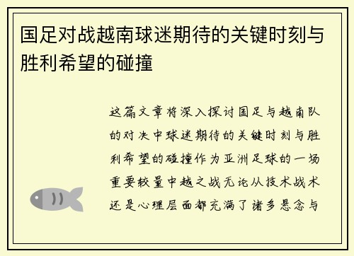 国足对战越南球迷期待的关键时刻与胜利希望的碰撞
