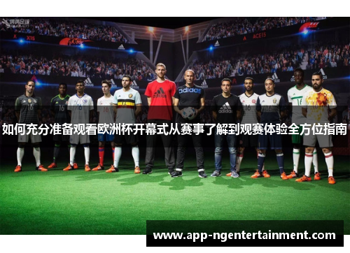 如何充分准备观看欧洲杯开幕式从赛事了解到观赛体验全方位指南