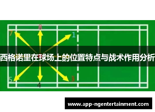 西格诺里在球场上的位置特点与战术作用分析