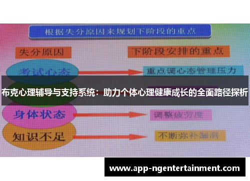 布克心理辅导与支持系统：助力个体心理健康成长的全面路径探析