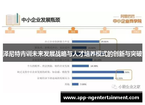 泽尼特青训未来发展战略与人才培养模式的创新与突破 泽尼特青训未来发展战略与人才培养模式的创新与突破