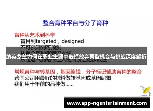 纳英戈兰为何在职业生涯中选择放弃某些机会与挑战深度解析 纳英戈兰为何在职业生涯中选择放弃某些机会与挑战深度解析