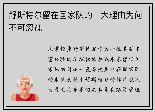舒斯特尔留在国家队的三大理由为何不可忽视