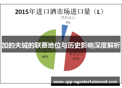 加的夫城的联赛地位与历史影响深度解析 加的夫城的联赛地位与历史影响深度解析