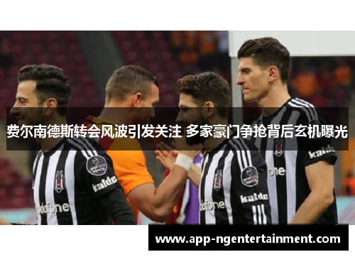 费尔南德斯转会风波引发关注 多家豪门争抢背后玄机曝光 费尔南德斯转会风波引发关注 多家豪门争抢背后玄机曝光