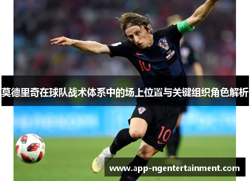 莫德里奇在球队战术体系中的场上位置与关键组织角色解析