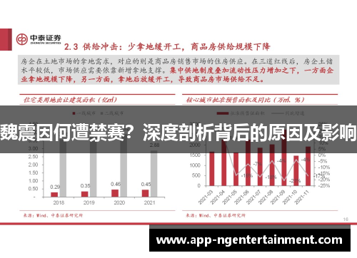 魏震因何遭禁赛？深度剖析背后的原因及影响
